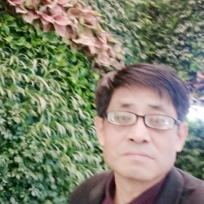 乐从苦来的照片