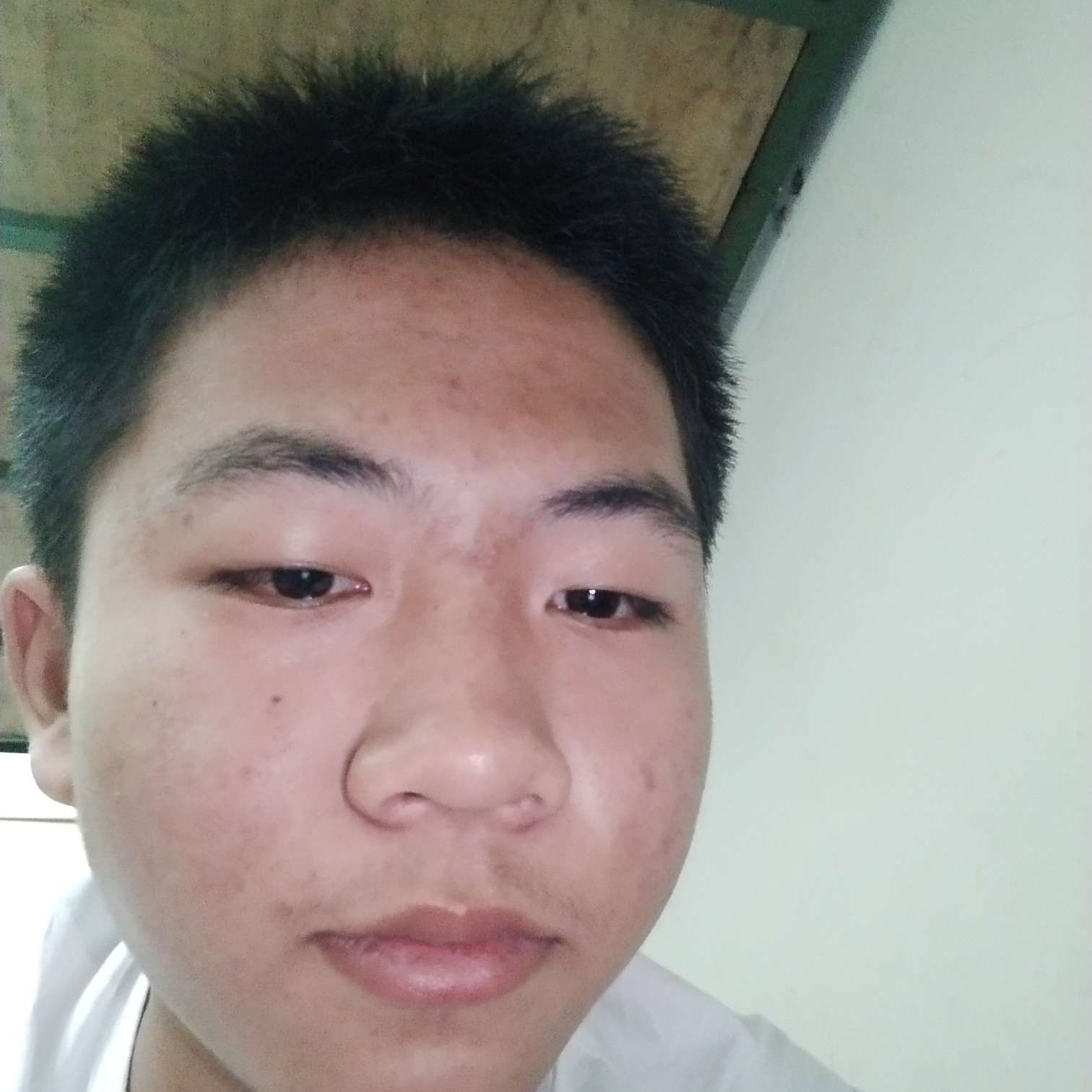 樊文军的照片