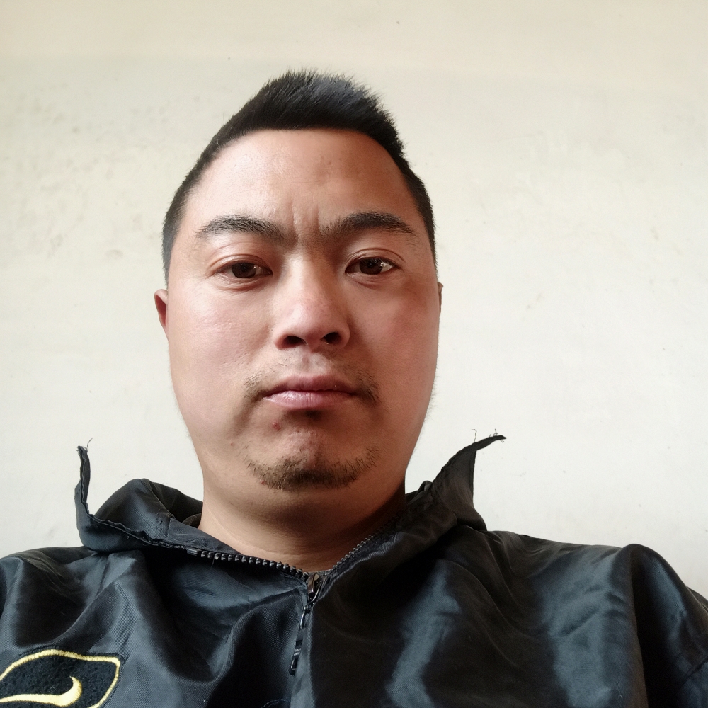 光亮等于汽车的照片