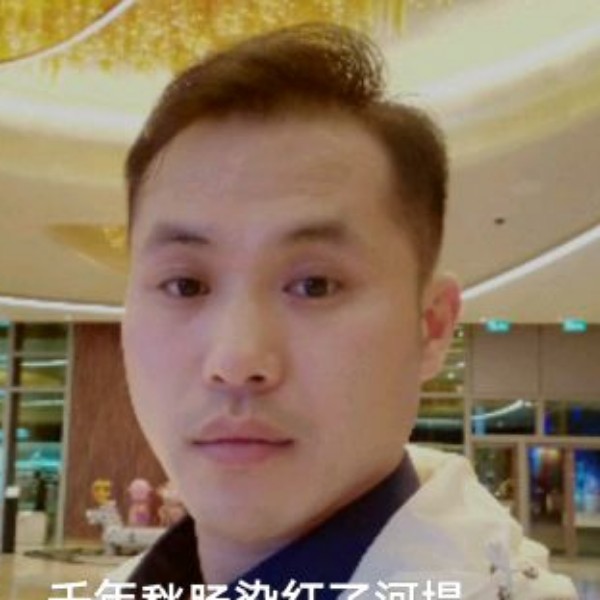 平淡和泥猴桃的照片