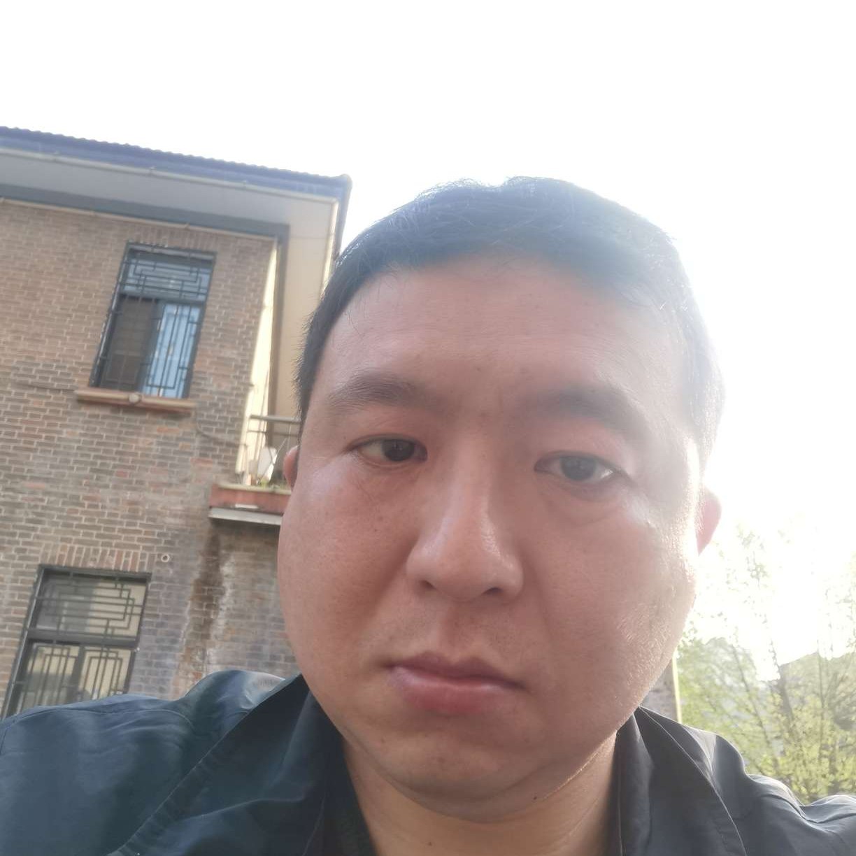 木槿飞的照片