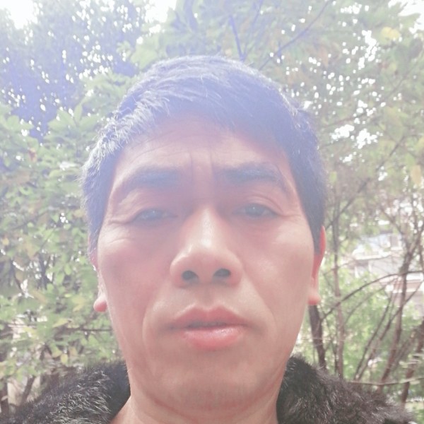 孝顺闻青衣的照片