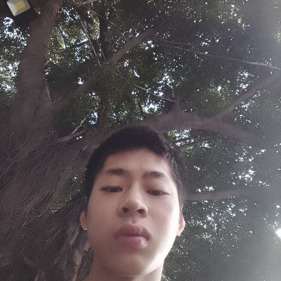 森槿就热情的照片
