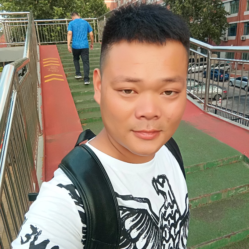 芝麻零碎的照片