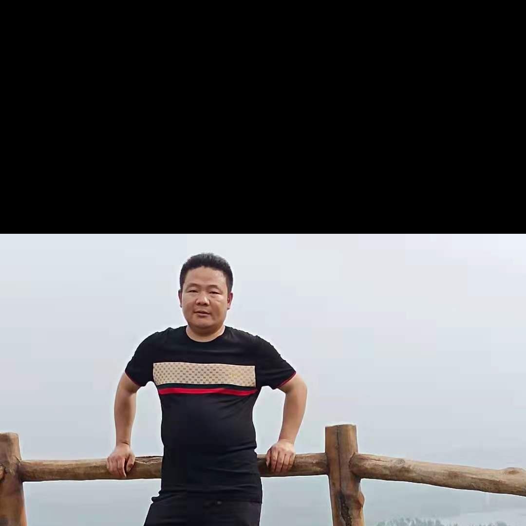无心漫步蚂蚁的照片