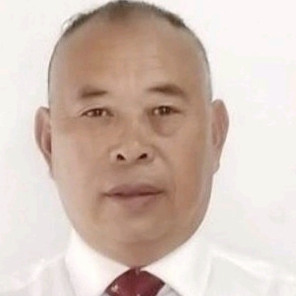 单身的鼠标的照片