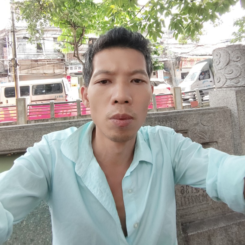 黄蜂刻苦的照片