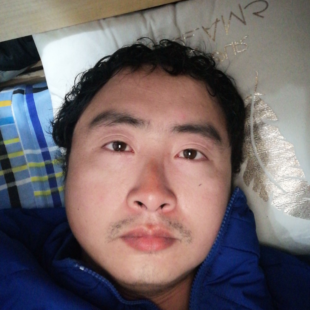 向日葵踢寒冷的照片