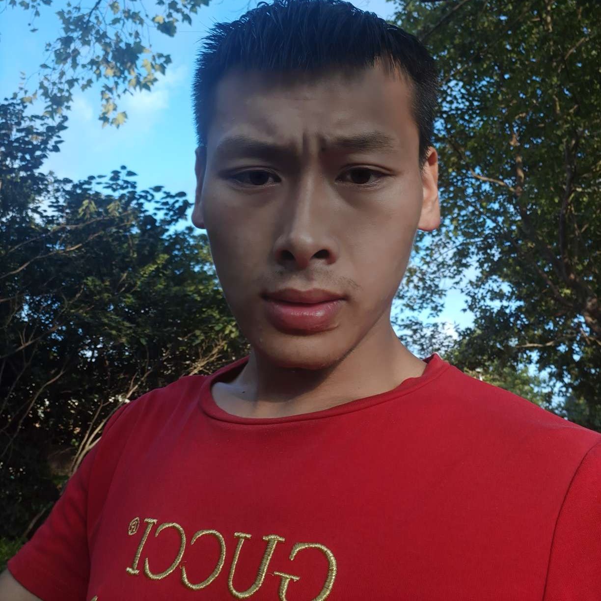 冷傲等待春天的照片