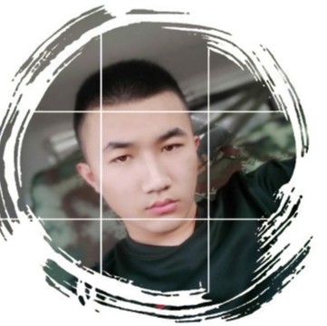 芒果结实的照片