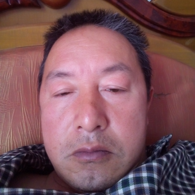 平常人生的照片