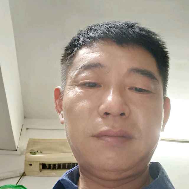 大树说知性的照片