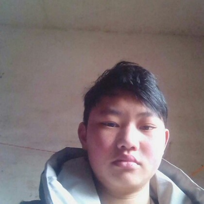 傻傻砖头的照片