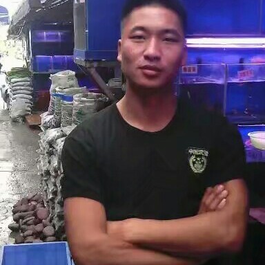 树叶請单身的照片