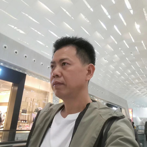 羽毛蹁跹风中的照片
