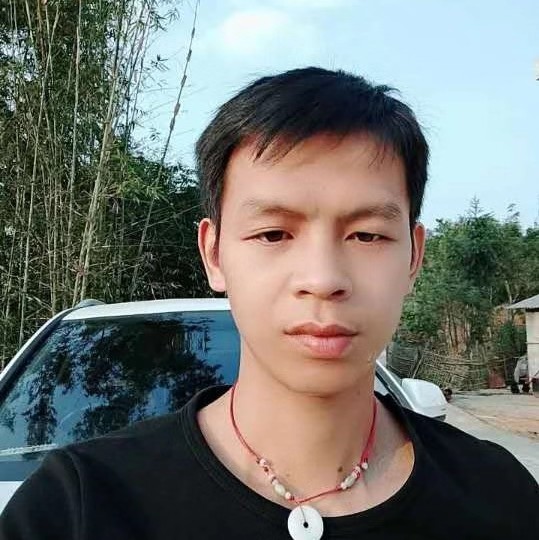 小海豚爱恋个性的照片