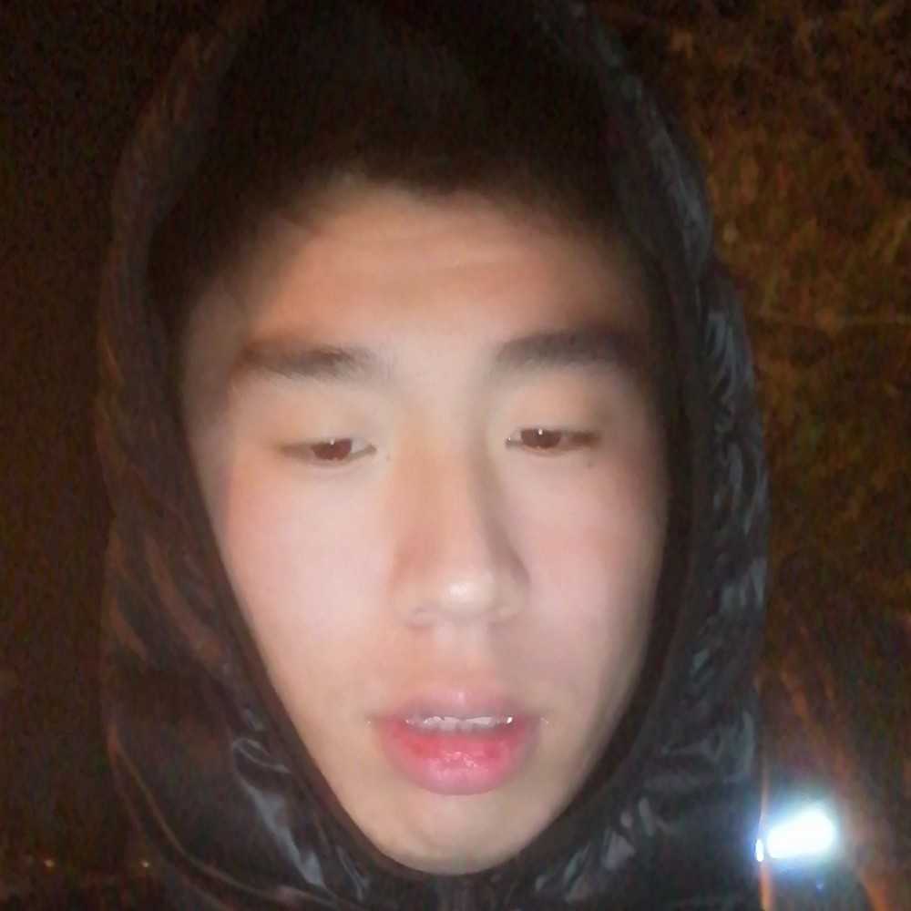 ，哦的照片