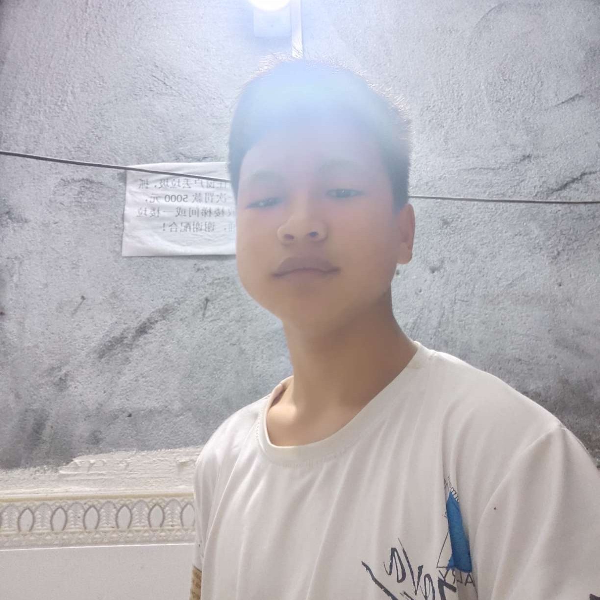 绝影与帅气的照片