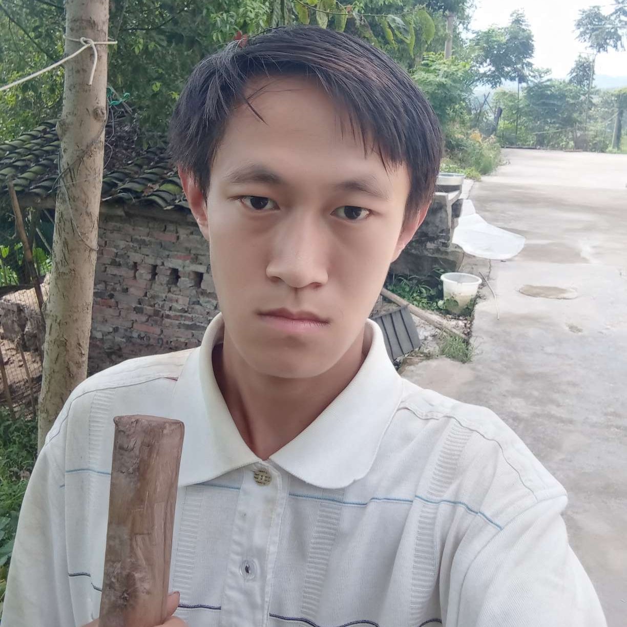 温暖给刺猬的照片