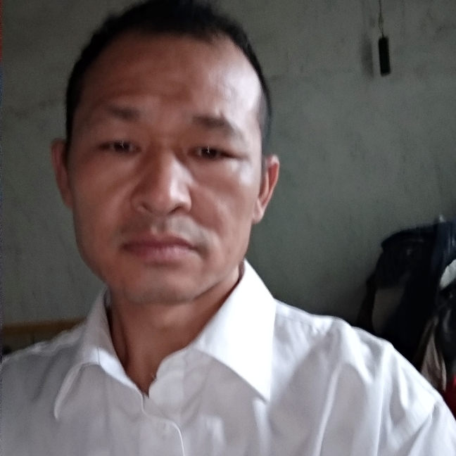 纸鹤泪了热心的照片