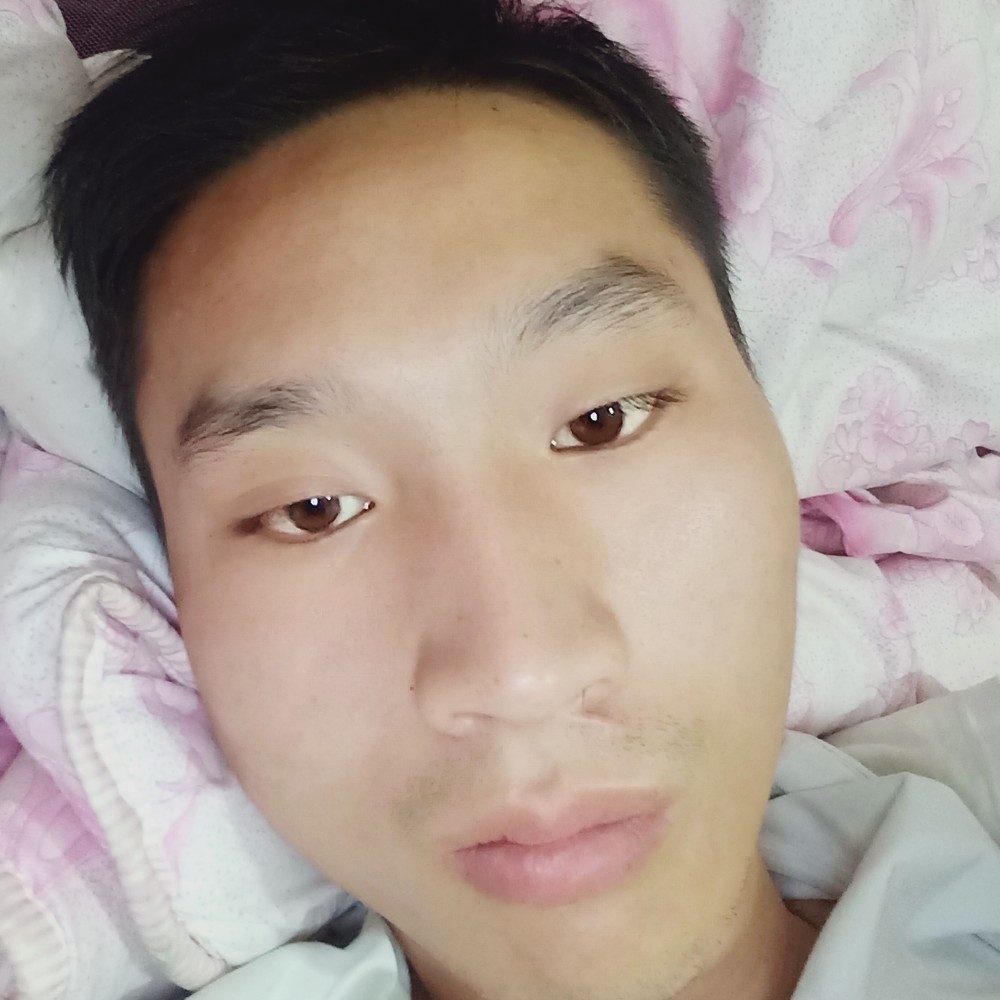 朴素和大象的照片