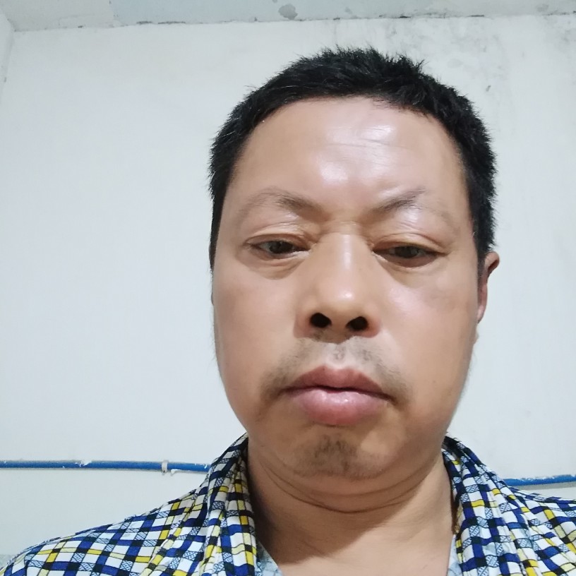 奇树的照片