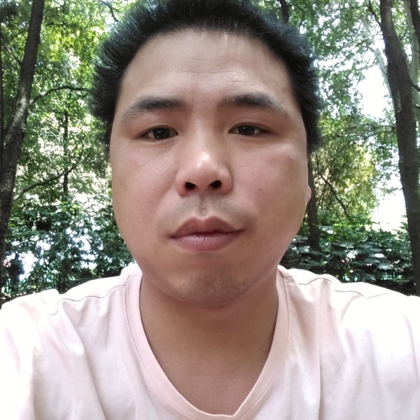 猎豹就现实的照片