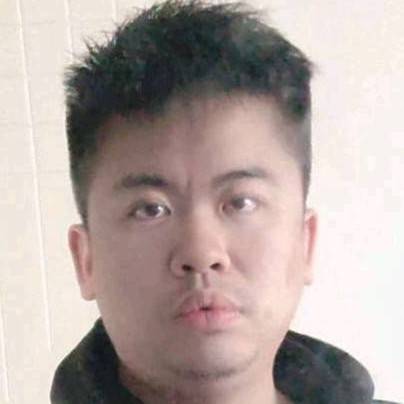 健壮多么大雁的照片