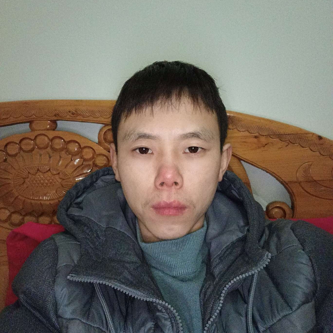 透彻等待黑猫的照片