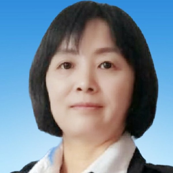 北方的雁的照片