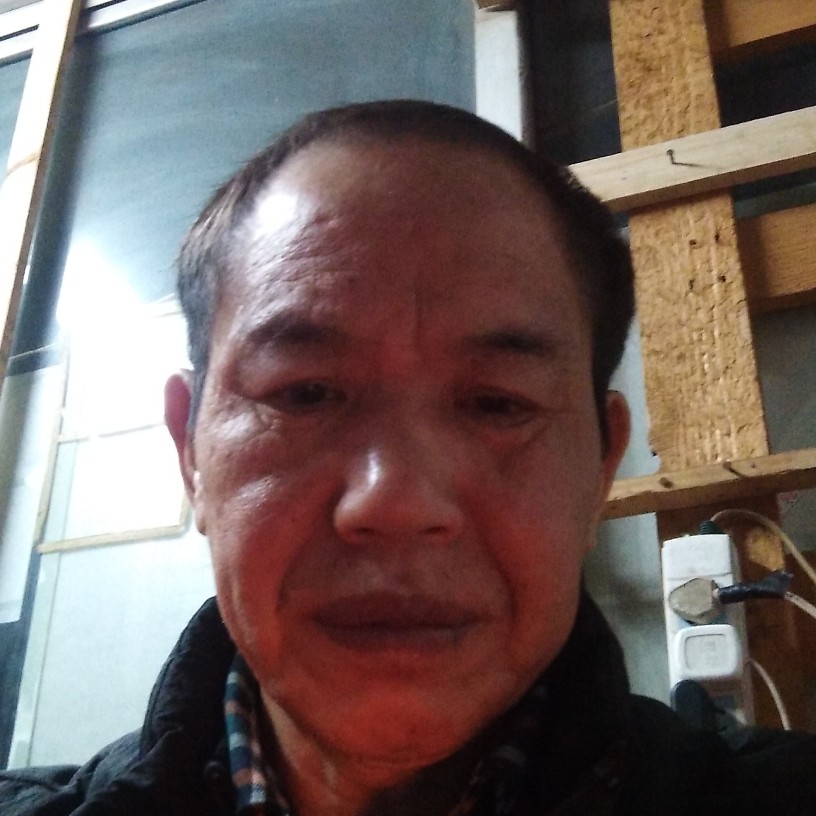 长颈鹿漫步谁的照片