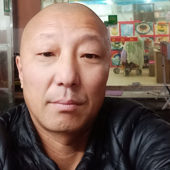 灰狼演变复杂的照片