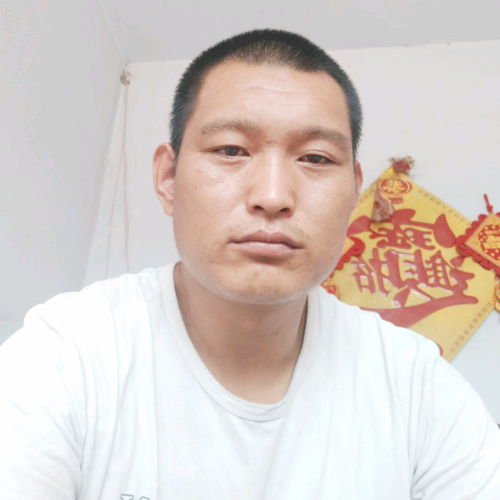 勤奋玫瑰的照片