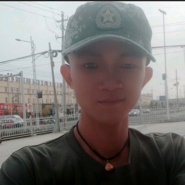 狐狸未成年的照片