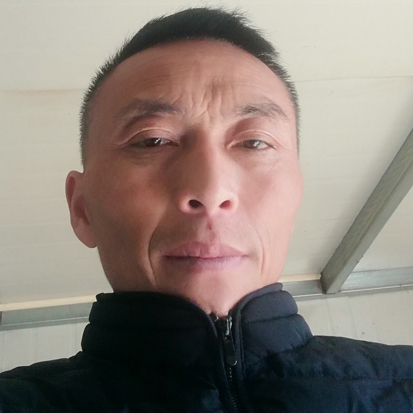 爱健身的斑马的照片