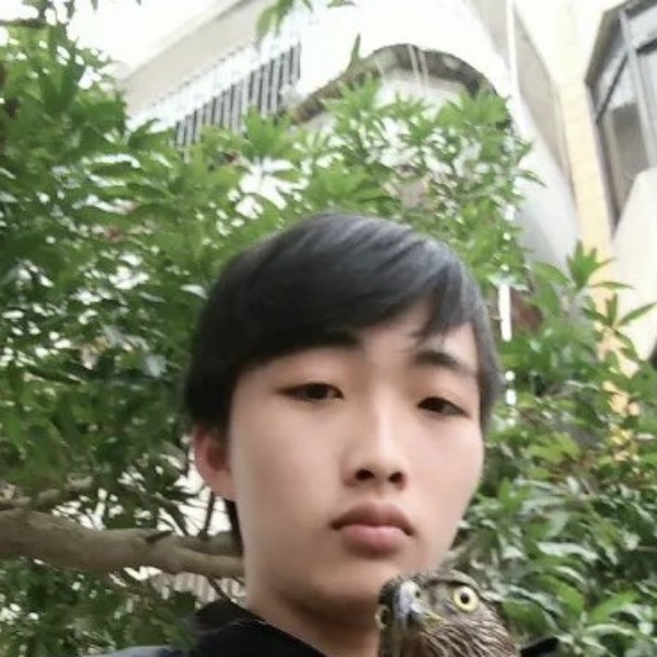 恒波的照片