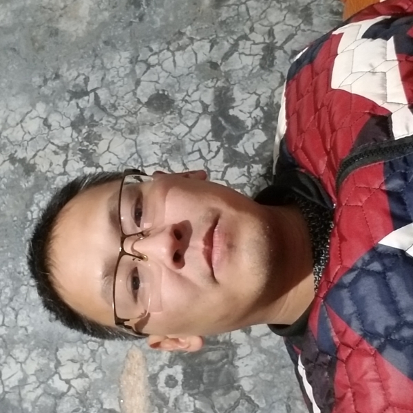 烂漫改变胡萝卜的照片