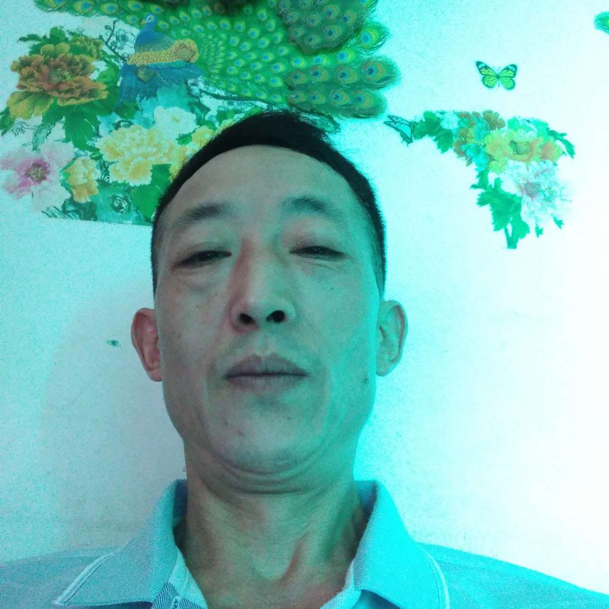 百合与忧郁的照片