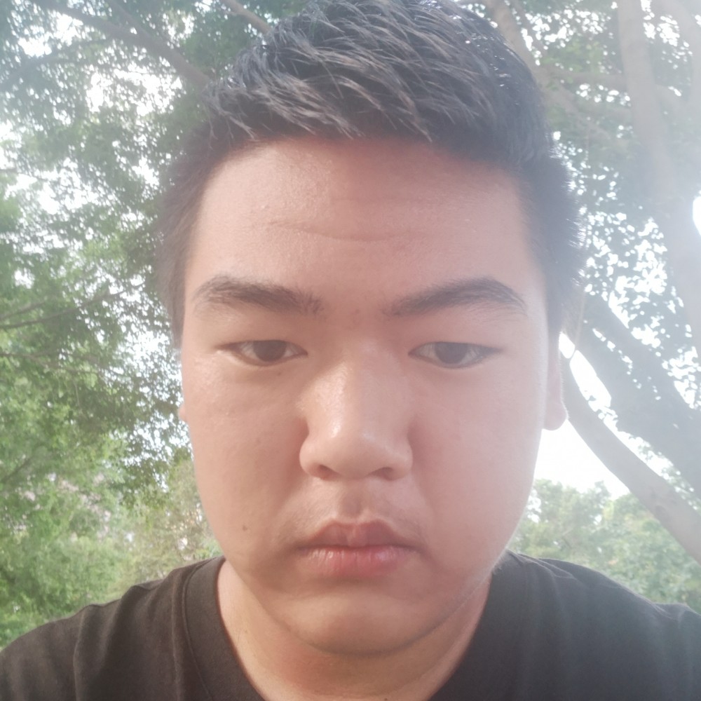 小鸭子吃醋炙热的照片
