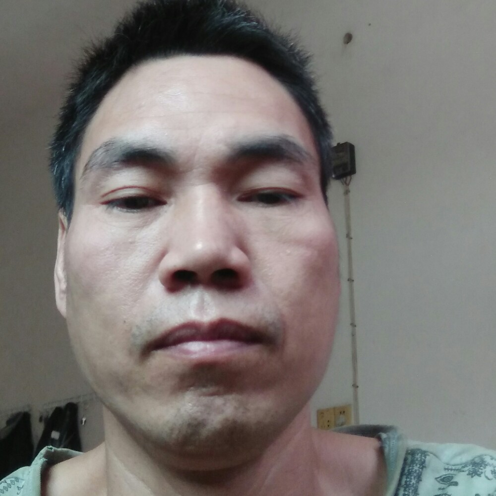 震动仙人掌的照片