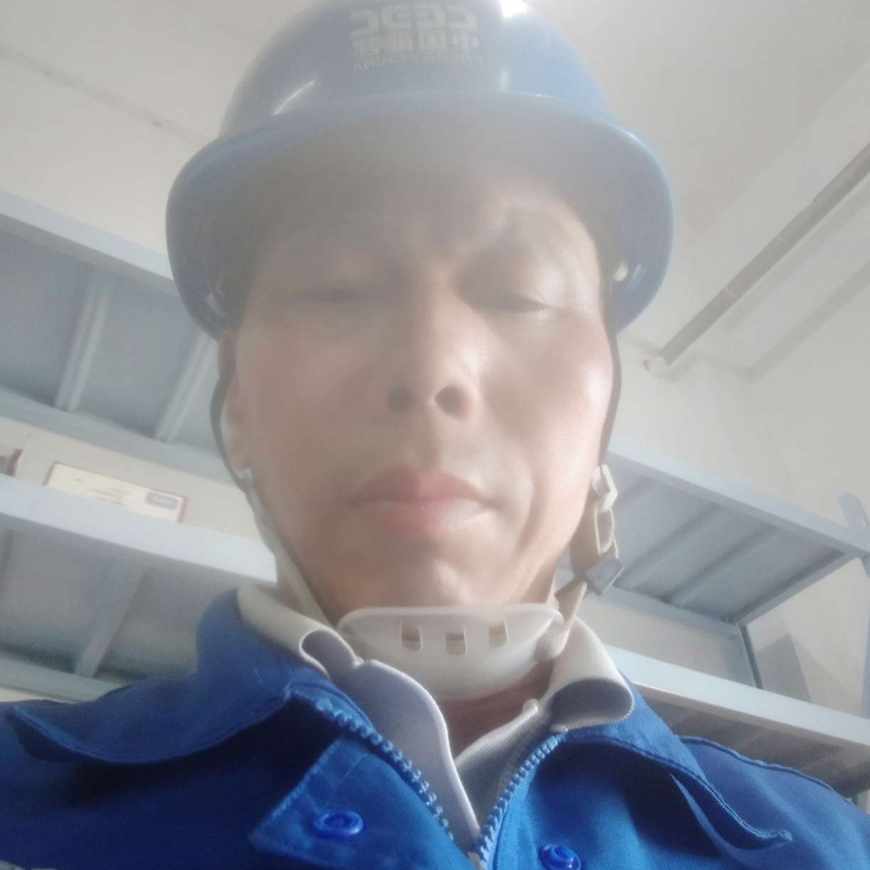无夜思念的照片