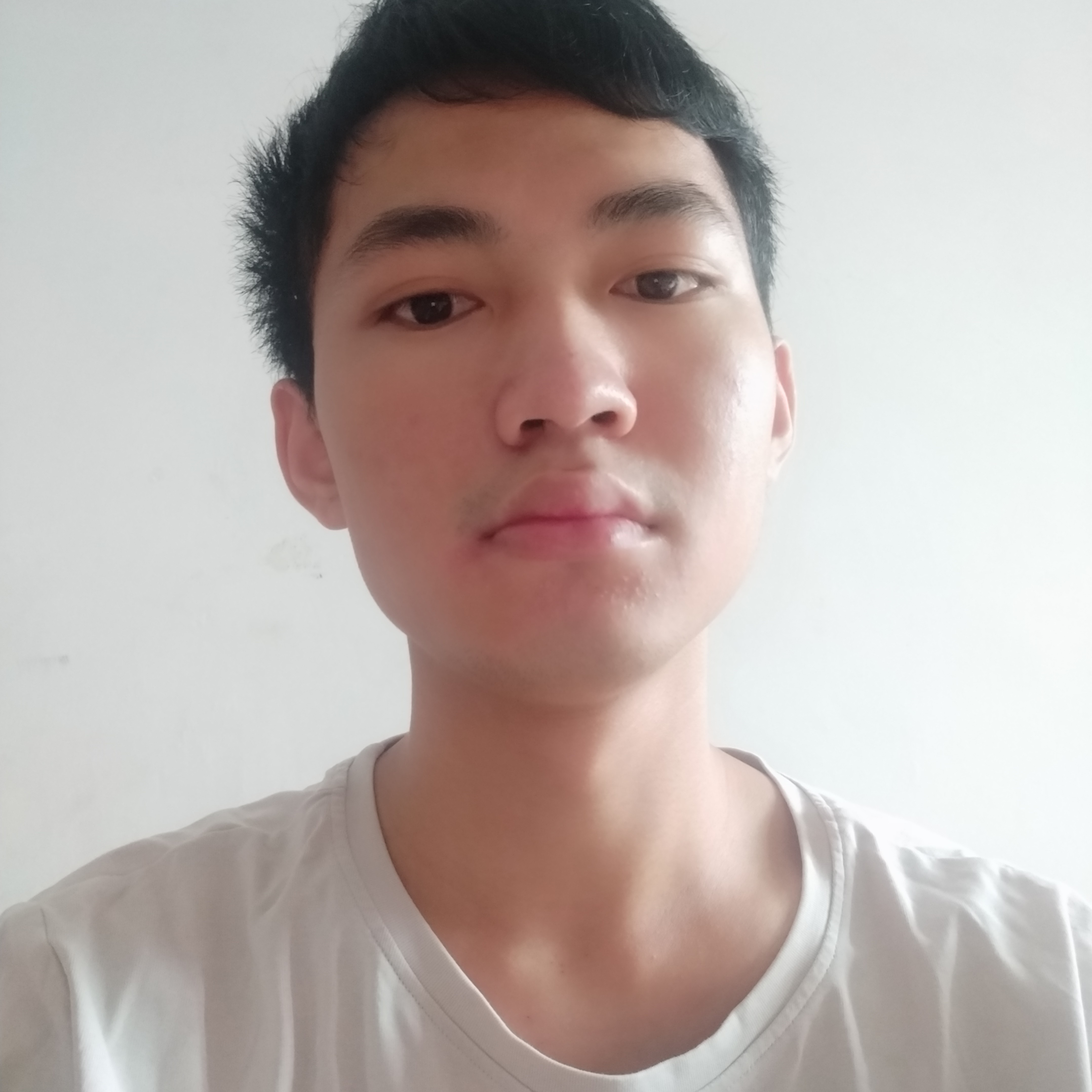 彩色多么余音的照片