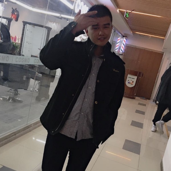 绚烂拾忆大树的照片