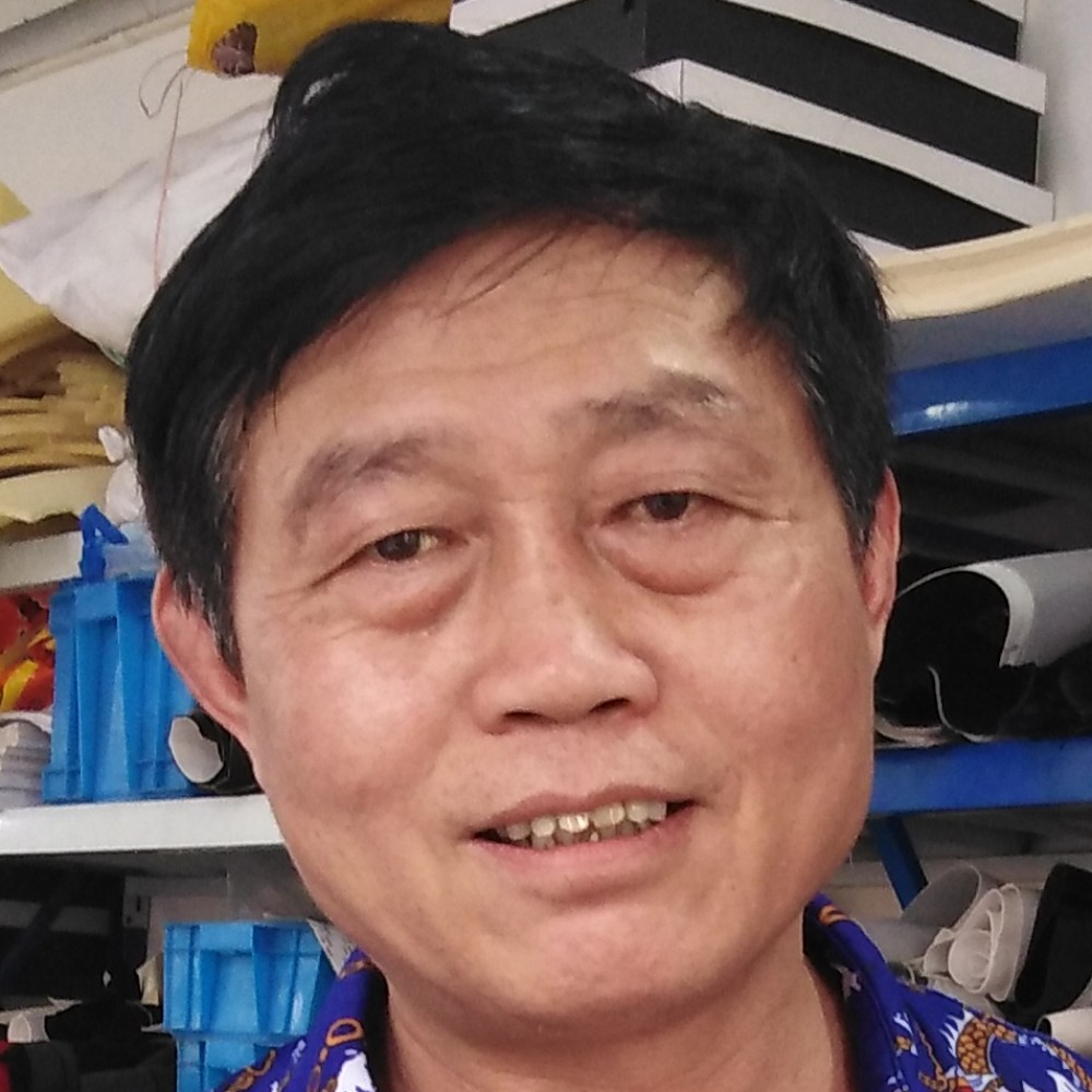 裙子向壮观的照片