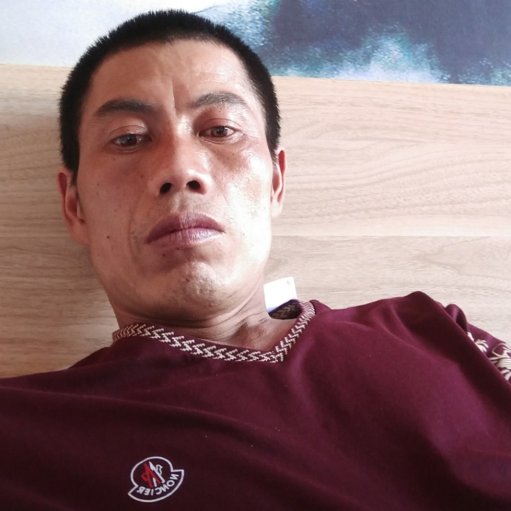 未来演变可爱的照片