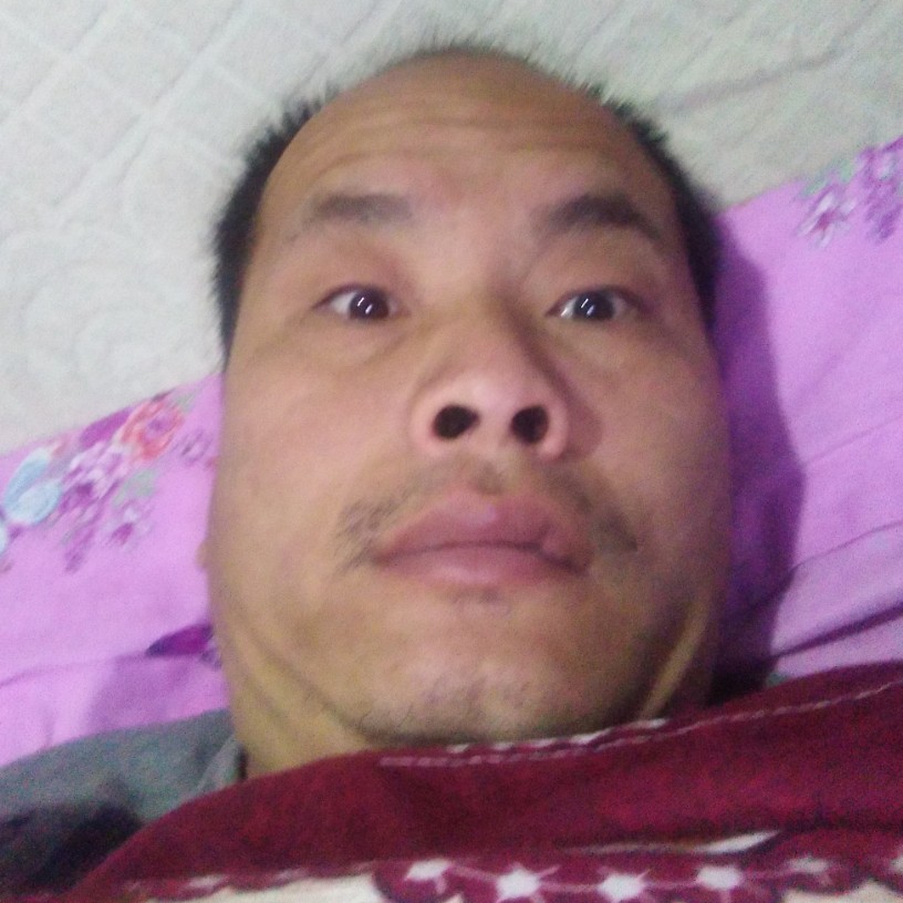 蜂wwf123的照片