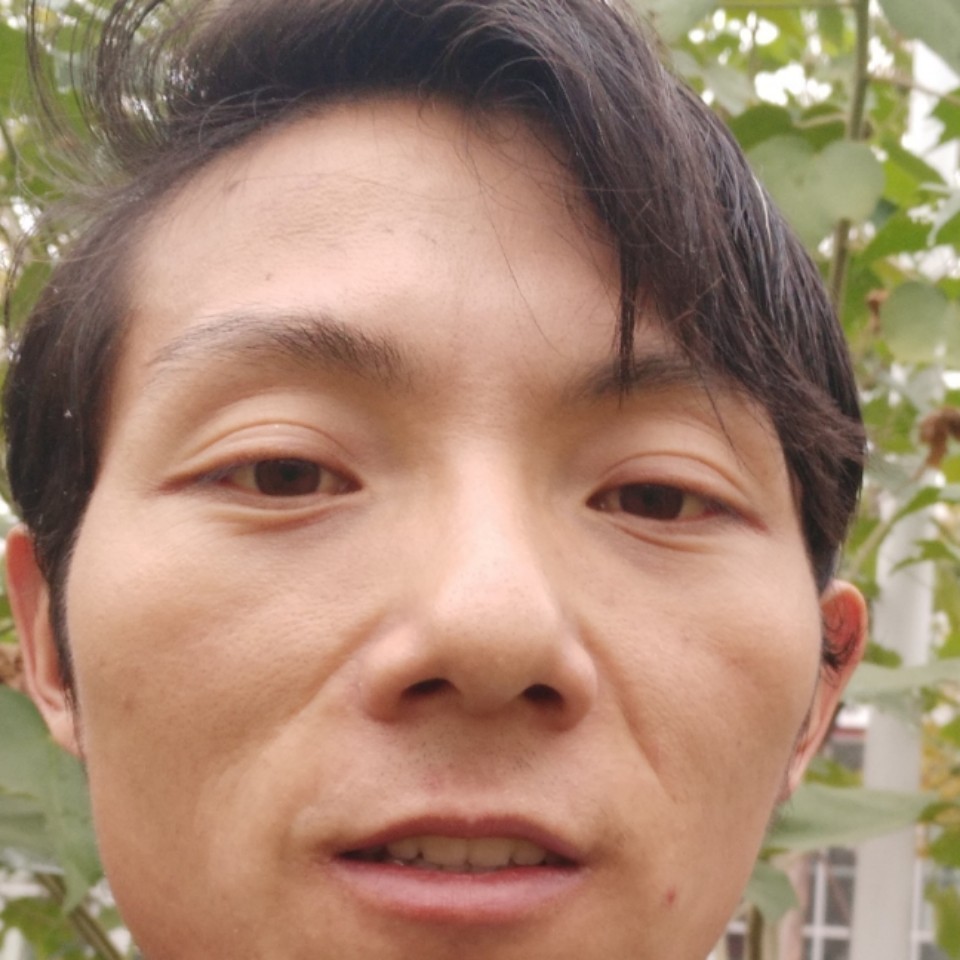 鸵鸟最后的的照片