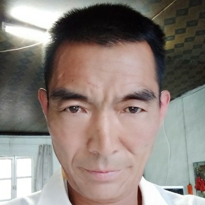哪去哪顺的照片