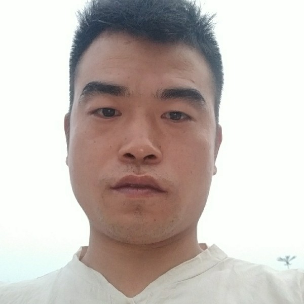 芹菜漫步长情的照片