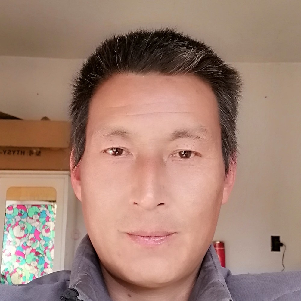 清脆含羞草的照片
